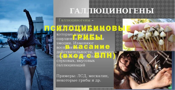 шишки Богданович