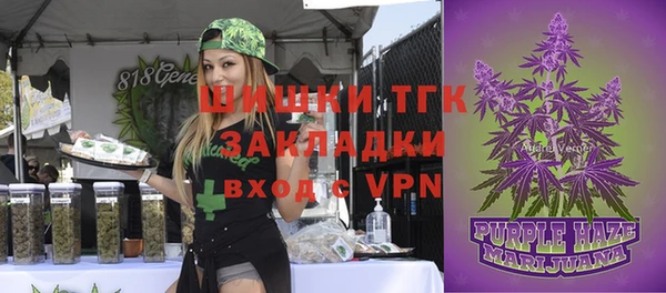 ALPHA PVP Богородицк