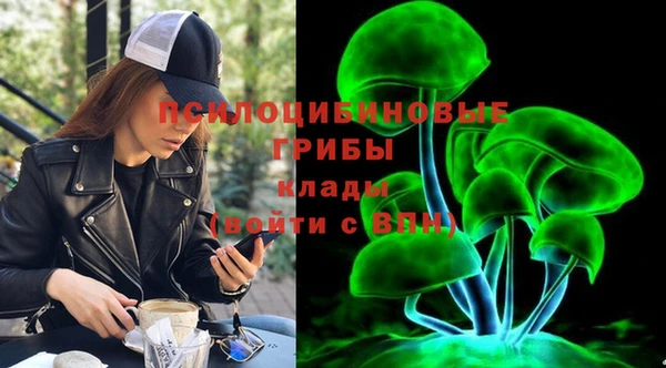 герыч Богородск