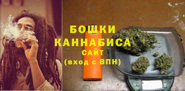 шишки Богданович