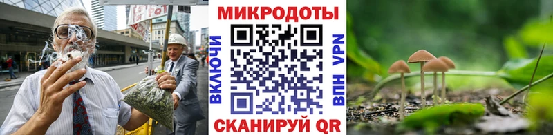 Купить где  Тетюши  Псилоцибиновые грибы Magic Shrooms 
